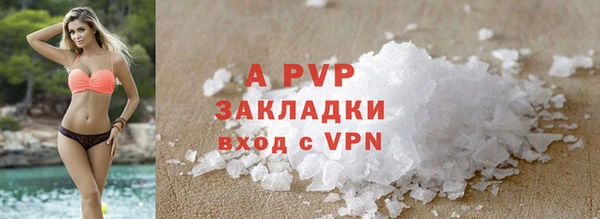 ПСИЛОЦИБИНОВЫЕ ГРИБЫ Ладушкин
