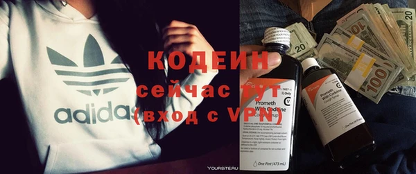молекула духа Лабытнанги