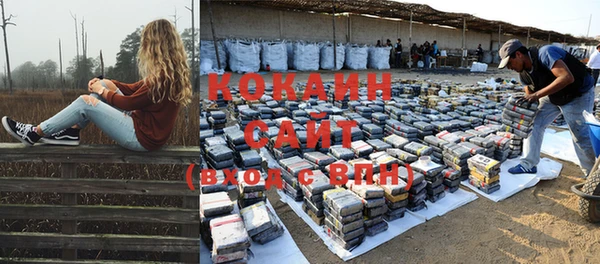 шишки Краснотурьинск