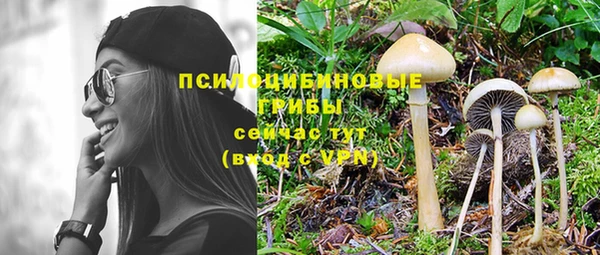 молекула духа Лабытнанги