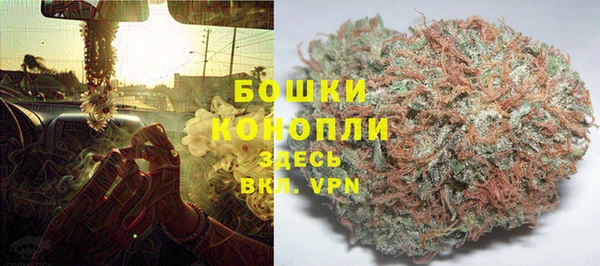 молекула духа Лабытнанги