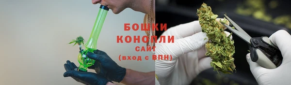 ГАЛЛЮЦИНОГЕННЫЕ ГРИБЫ Лихославль