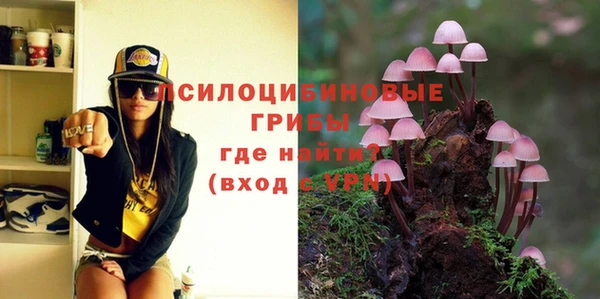 молекула духа Лабытнанги