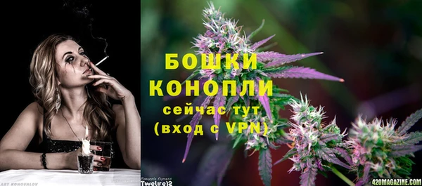 молекула духа Лабытнанги